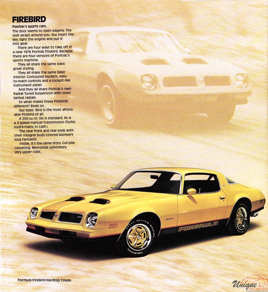 1976 Pontiac Full-Line Brochure Page 18